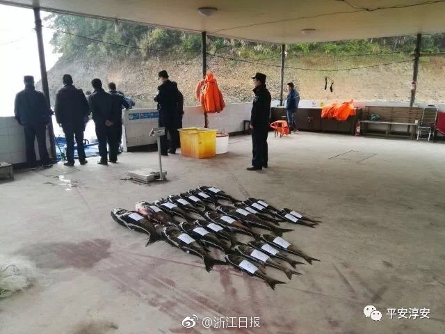 雷军3问