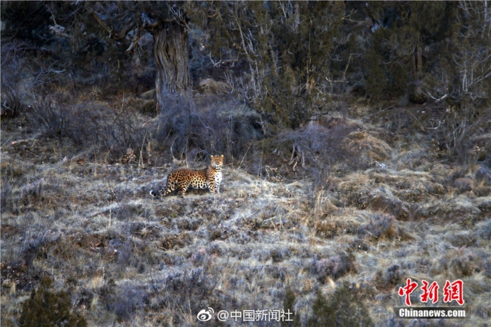 日丰股份定增注册获同意 拟于深交所上市