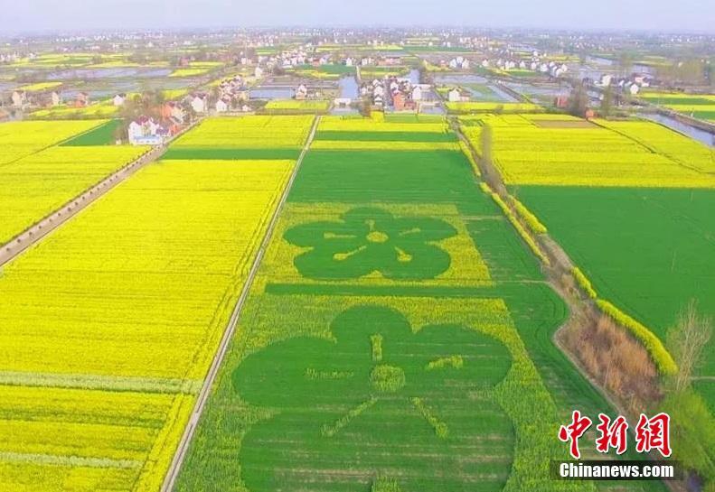 泰交通部副部长回应中国人遭歧视手势