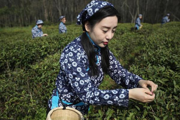 分红率26.67% 卓易信息拟每10股派发现金红利1元