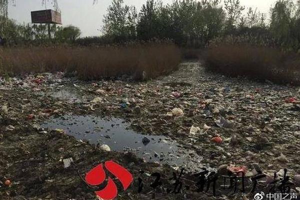 1600公斤钨条，换了中国稀土4亿股股份！马来西亚女富商秀“财技”，却遭关键人物质疑