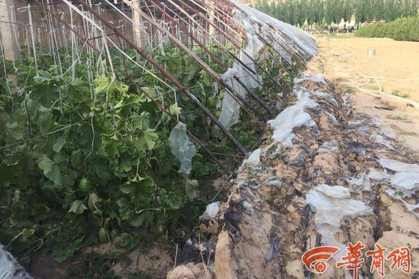 开局之年启动 | 重振“老品牌”色彩 “中国制造”远未结束