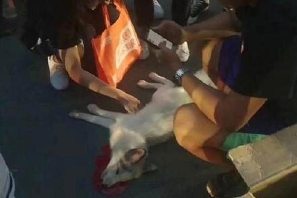 让老手艺活下来传下去