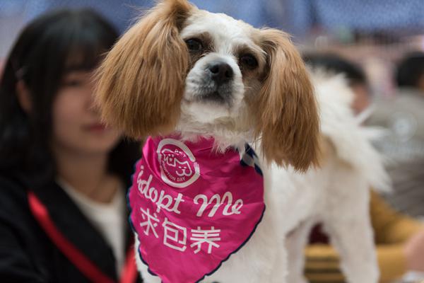 盛达资源：不存在逾期担保及涉诉担保