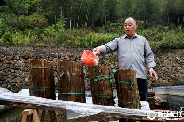 gucci顶配广告阵容