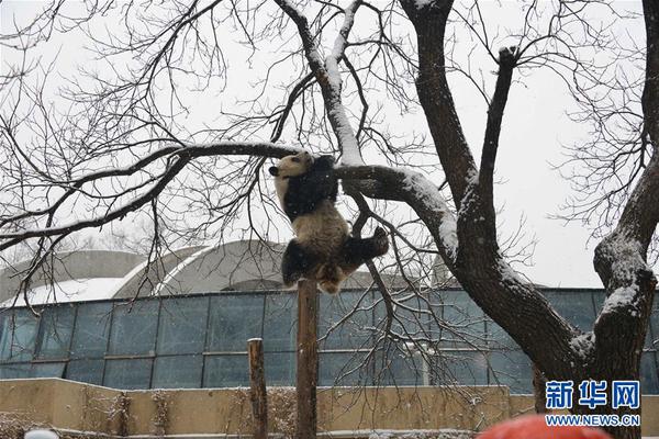 新能源业务助力宇通重工业绩快增