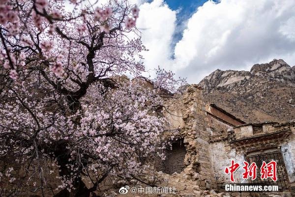 特朗普最后通牒：泽连斯基必须同意！降息也有大消息！美股突然爆发！