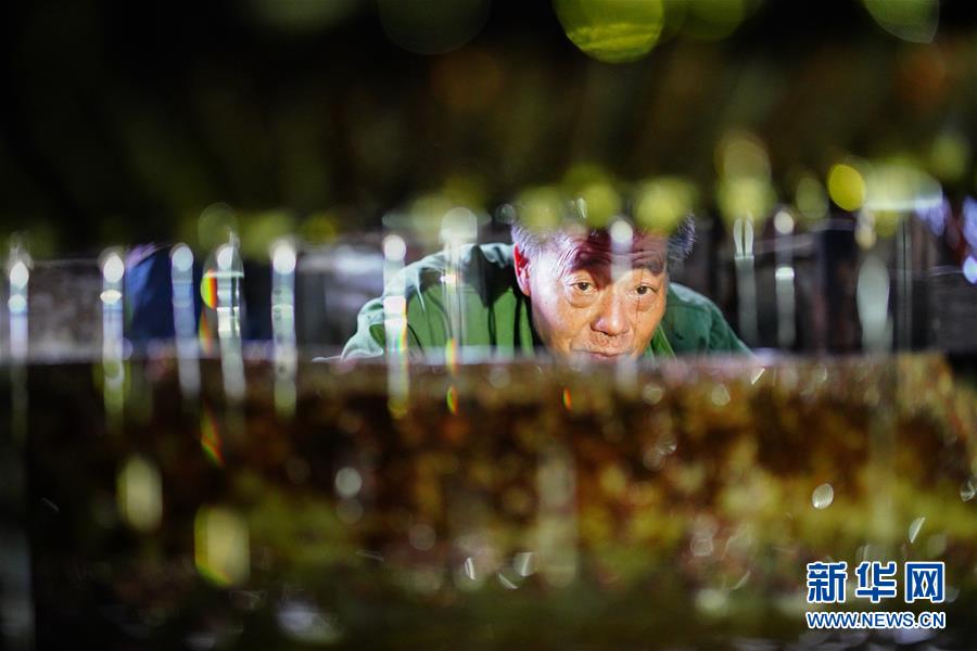 财经早报：半导体大消息两大巨头敲定涨价 头部券商纷纷上调两融额度丨2025年11月6日