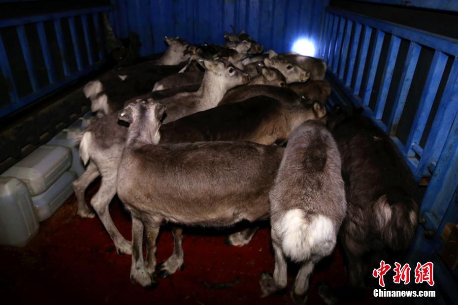 外交部：个别美国政客干扰破坏中美正常交往合作注定失败
